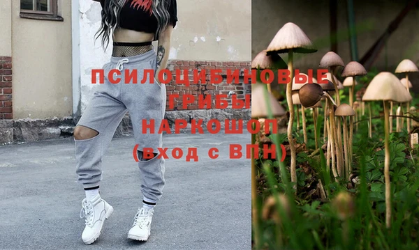 тгк Абаза