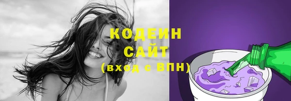 тгк Абаза