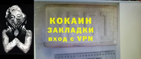 тгк Абаза