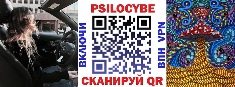 Псилоцибиновые грибы Psilocybine cubensis Усть-Кут